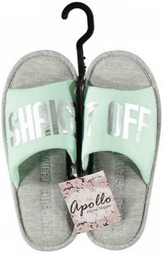 Apollo Mint/grijze Huisslippers/instapsloffen/pantoffels Voor Dames 41 42 Sloffen Volwassenen