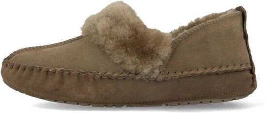 warmbat Pantoffels Barrine BAR341032 Moss Groen