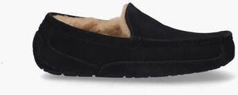 Ugg Ascot Donkerblauw