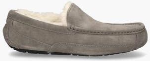 Ugg Ascot Grijs