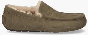 Ugg Ascot Groen