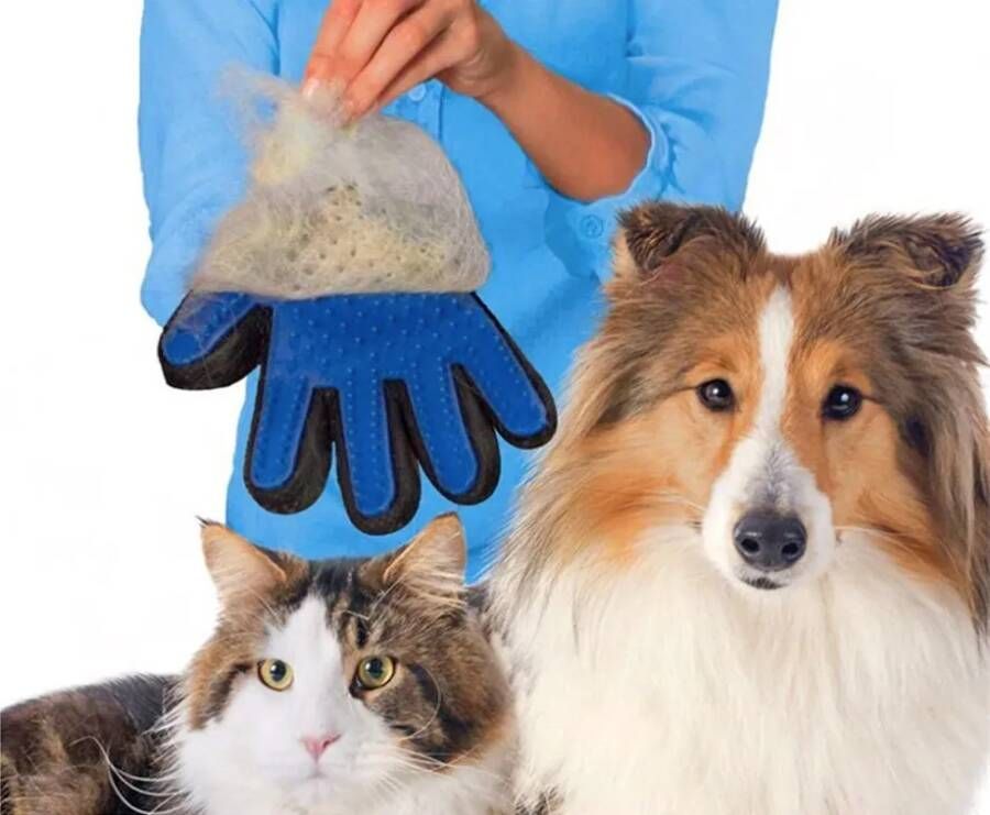 Huismerk Premium Hond En Kat Verzorgingshandschoen Zwart/Blauw
