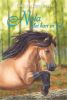 Gouden paarden: Nola met hart en ziel Christine Linneweever online kopen