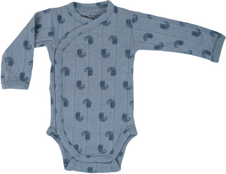 Lodger romper met lange mouw en all over print blauw